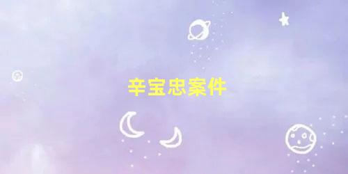 哈师大辛书记(辛宝勤简历)